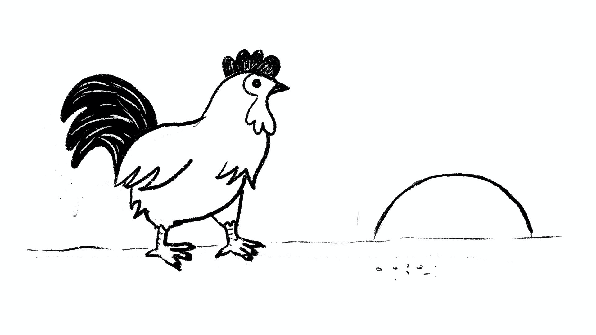 ¿Quién le dice a los gallos que canten a la mañana si no saben leer la hora?