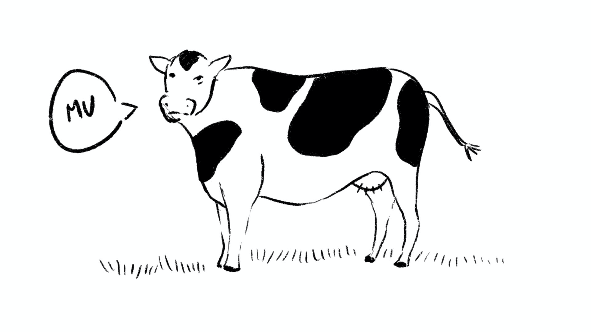 ¿Por qué los animales no pueden hablar?